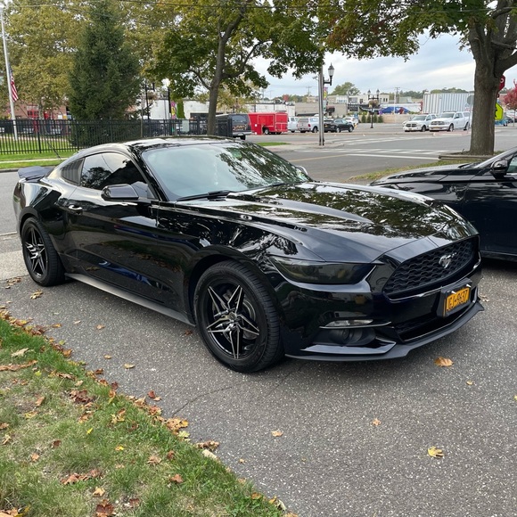 Meet your Posher, Lorry - Picture 5 of 7